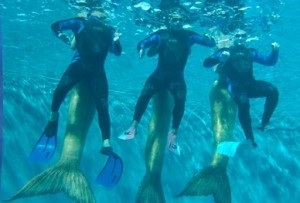 h2o-09.jpg